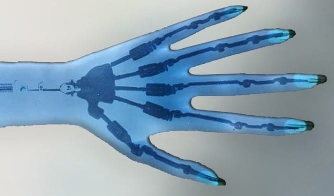Articulated Finger Skelett und andere Optionen